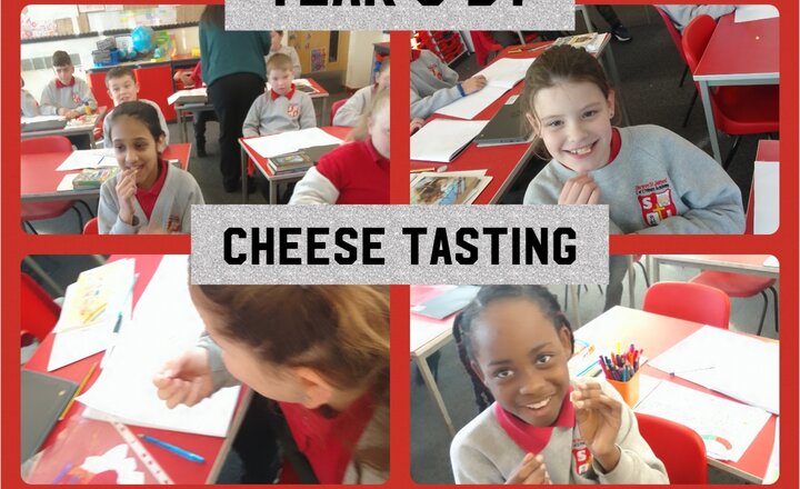 Image of Year 5 D.T. Food Technology - Cheese Tasting