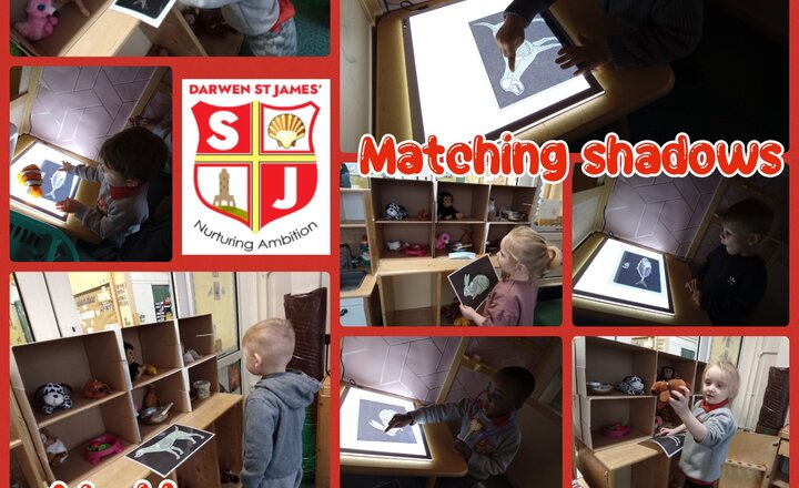 Image of Nursery/Pre-School - Maths - Matching Shadows 