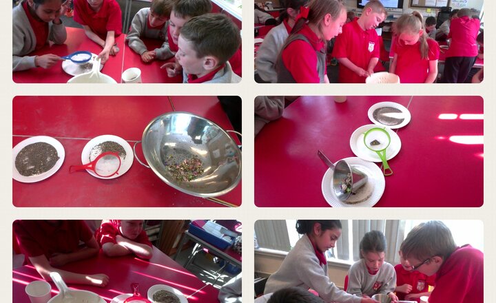 Image of Year 5 Science - Sieving