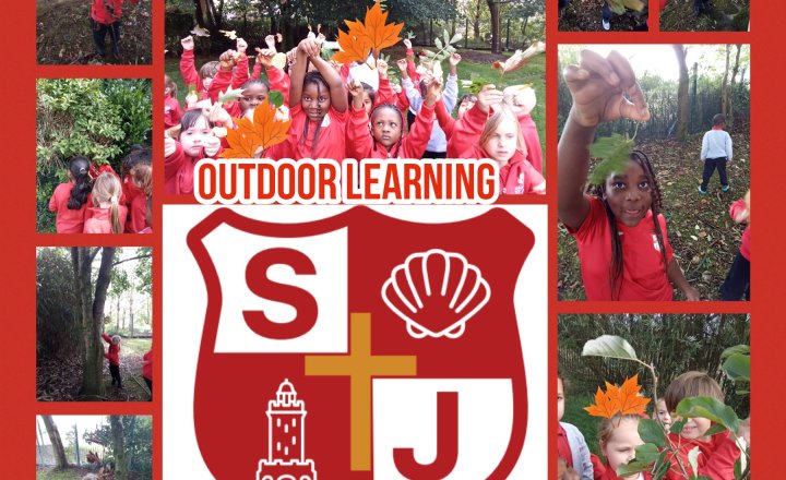 Image of Year 1 - Outdoor Learning - Identifying Parts of Trees