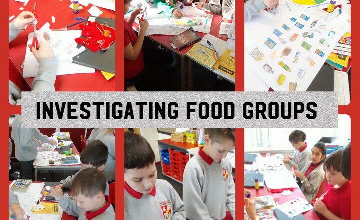 Image of Year 5 DT - Investigating Food Groups