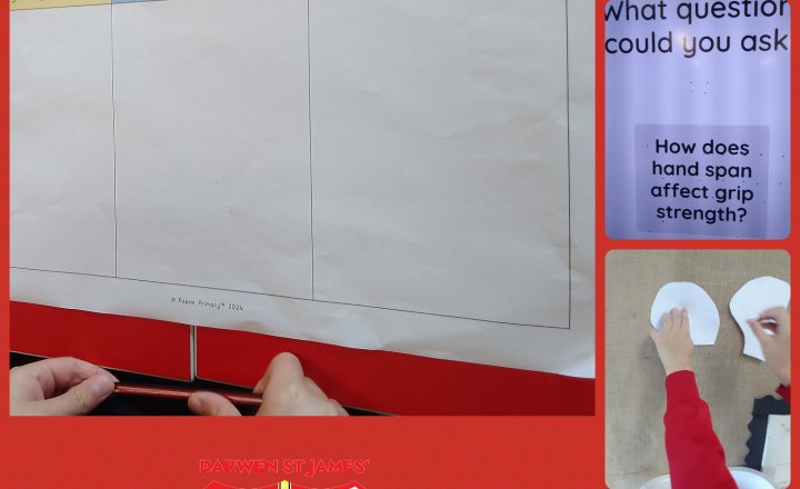 Image of Year 3 - Science - Planning An Investigation