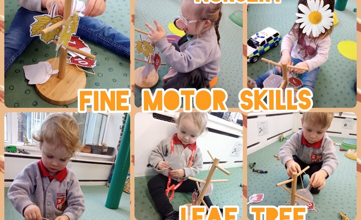 Image of Nursery - Fine motor Skills - Leaf Tree