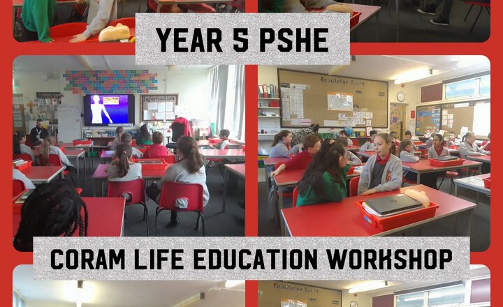 Image of Year 5 PSHE - Coram Life Education Workshop