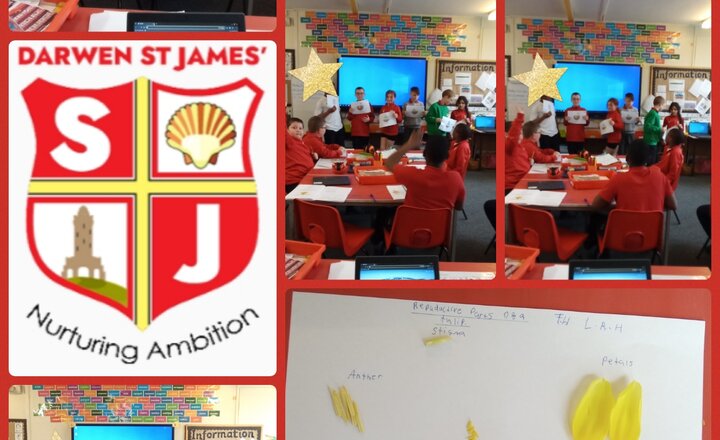 Image of Year 5 Science - The Life Cycle of a Flowering Plant