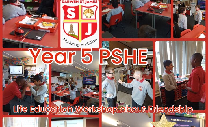 Image of Year 5 PSHE - Life Education Workshop about Friendship