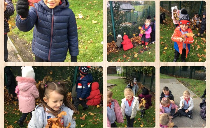 Image of Year 1 Science - Signs of Autumn 