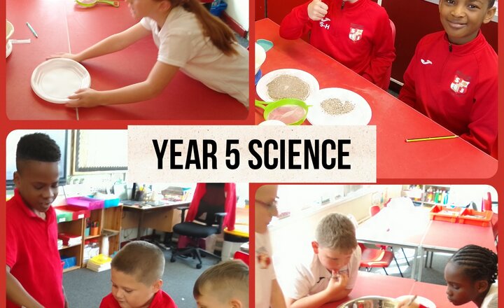 Image of Year 5 Science - Separating Mixtures by Sieving