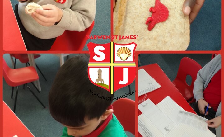 Image of Year 3 - Science - Learning How Fossils Are Formed