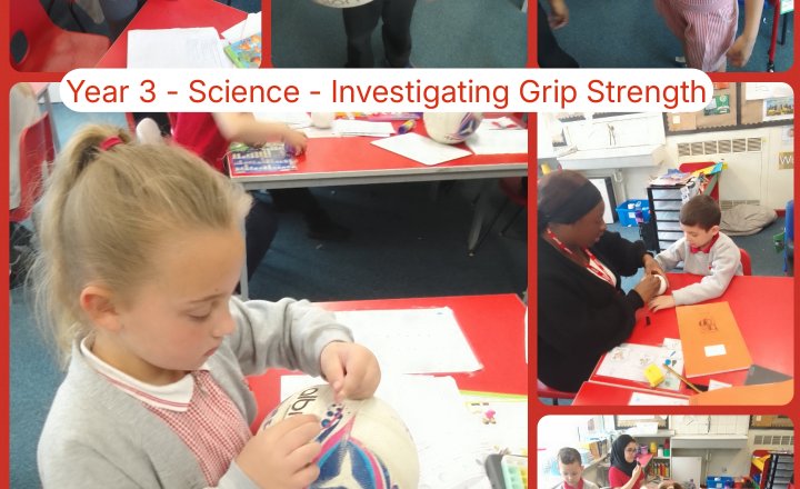 Image of Year 3 - Science - Investigating Grip Strength