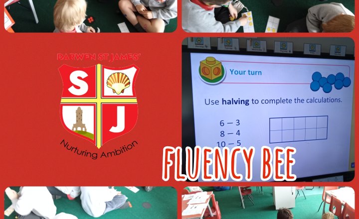 Image of Y1 - Fluency Bee - Finding Half