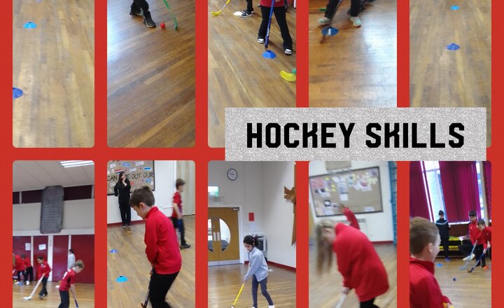 Image of Year 5 P.E. Hockey Skills: Push Passing Practice