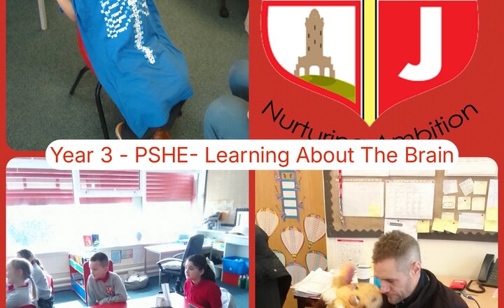 Image of Year 3 - PSHE - Learning About The Brain