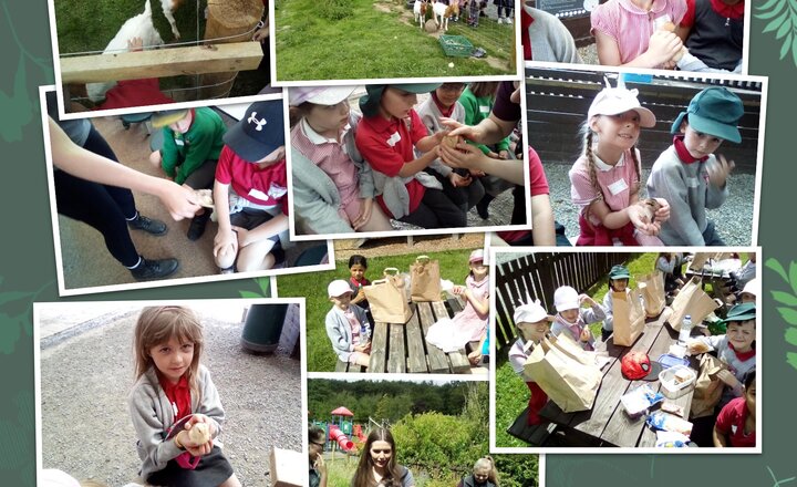 Image of Y2 - Trip to Bowland Wild Boar Park