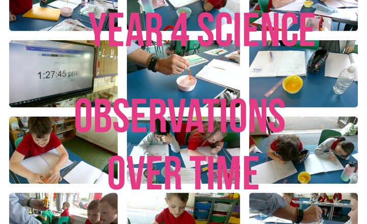 Image of Year 4 Science - Observations Over Time