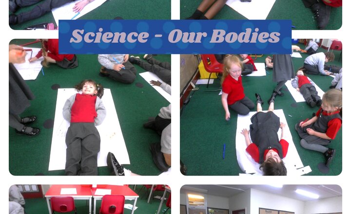 Image of Year 1 - Science - Our Bodies