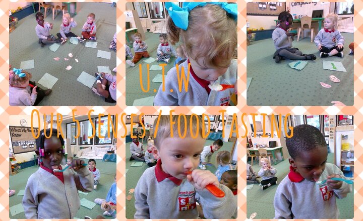 Image of Preschool-Understanding The World -Science-Our 5 senses/Food Tasting