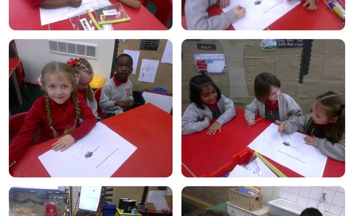 Image of Year 1 - English - Writing Facts About Mice.