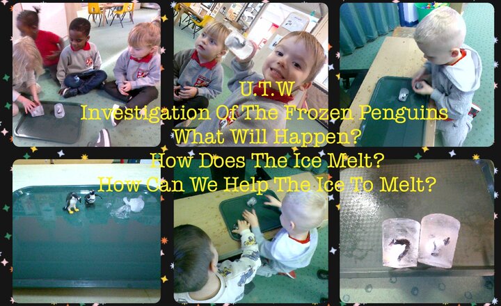 Image of Pre-School-UTW-Investigating Frozen Penguins