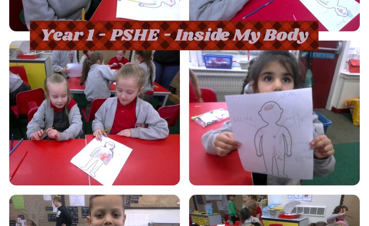 Image of Year 1 - PSHE - Inside My Body