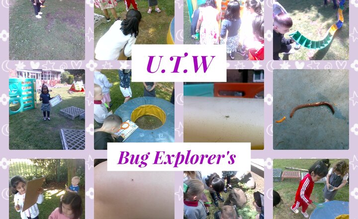 Image of Pre-School-Understanding The World-Bug Explorers 