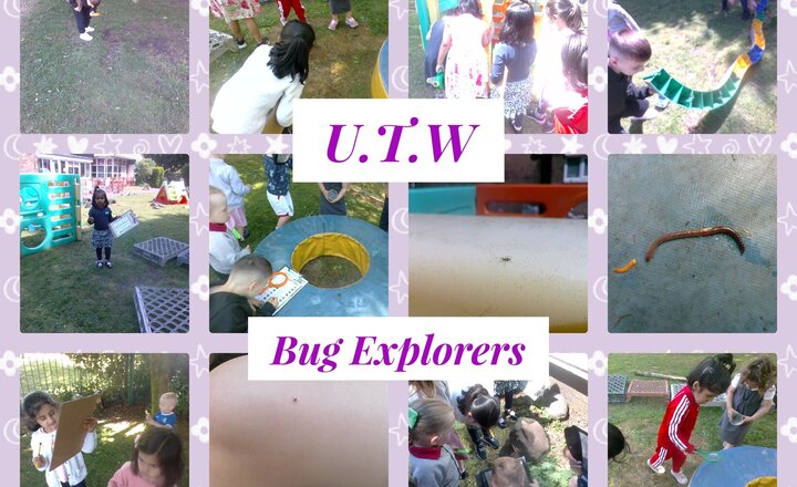 Image of Pre-School-Understanding The World-Bug Explorers 