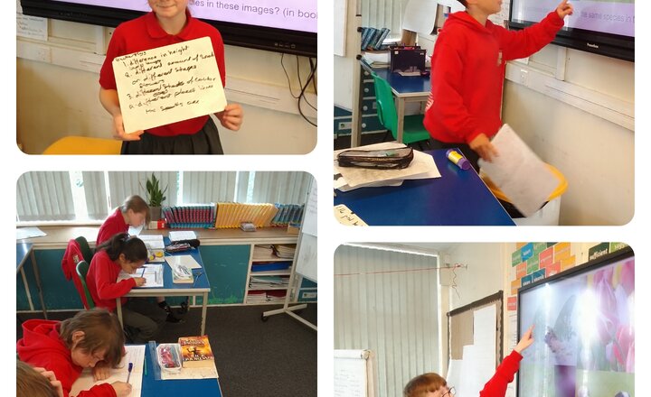 Image of Year 6: Science