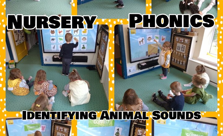 Image of Nursery - Phonics - Identifying Animal Sounds 