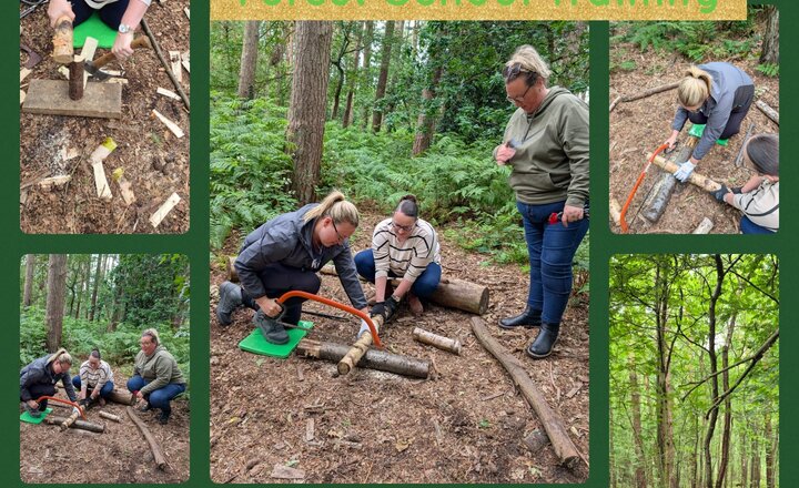 Image of Forest  School Training 