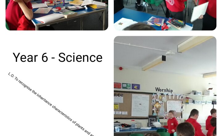 Image of Year 6: Science