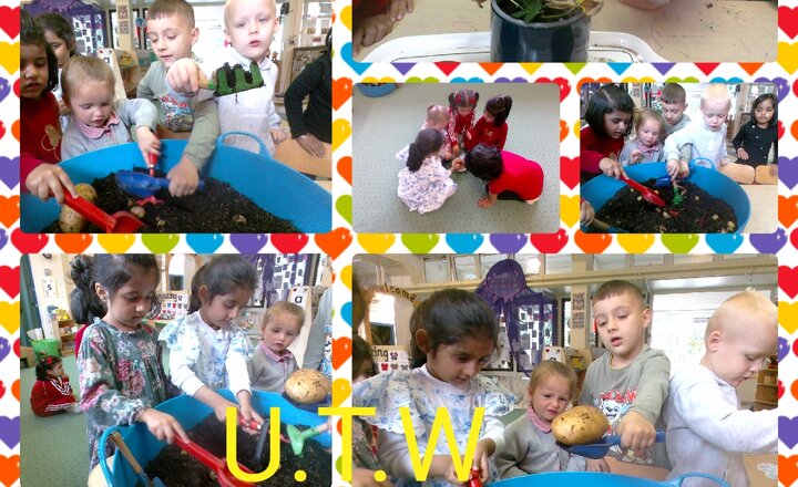 Image of  Pre-School-Understanding The World-Harvesting