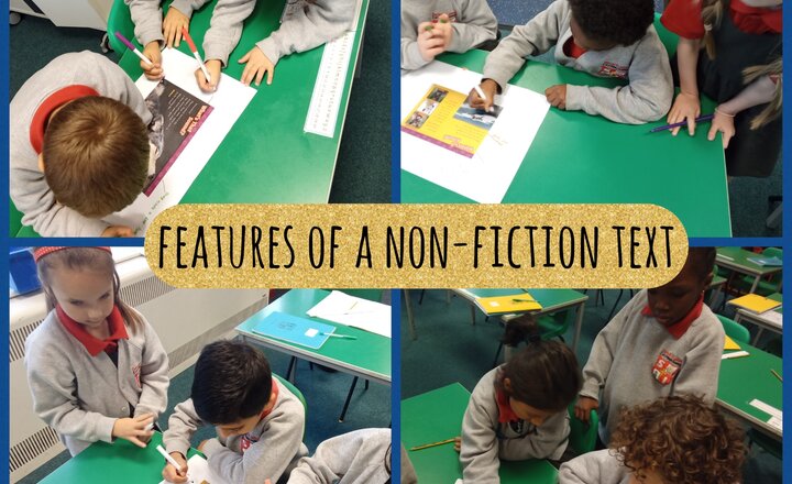 Image of Year 2 - English - Features of Non-Fiction Texts