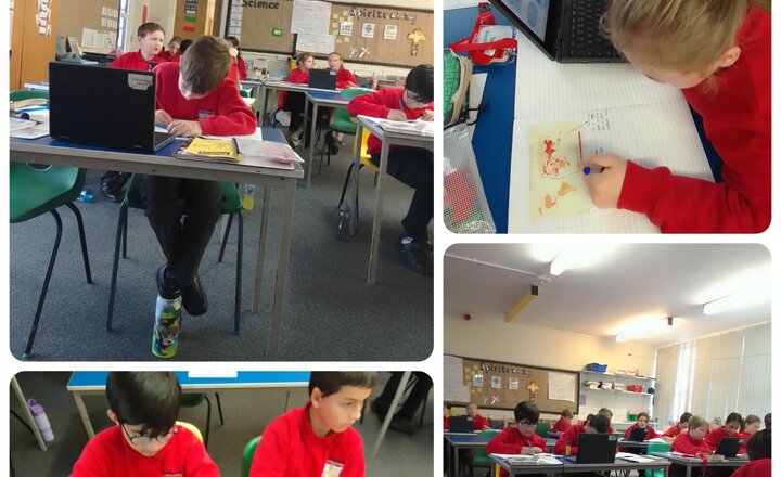 Image of Year 6: Geography - Population 