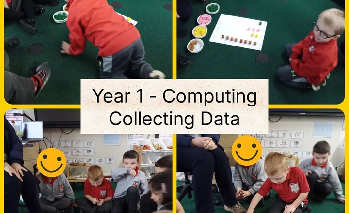 Image of Year 1 Computing: Collecting data