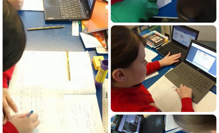 Image of Year 6: Science - Classification