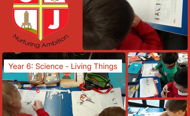 Image of Year 6: Science - Living Things