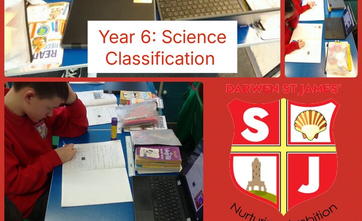 Image of Year 6: Science - Classification