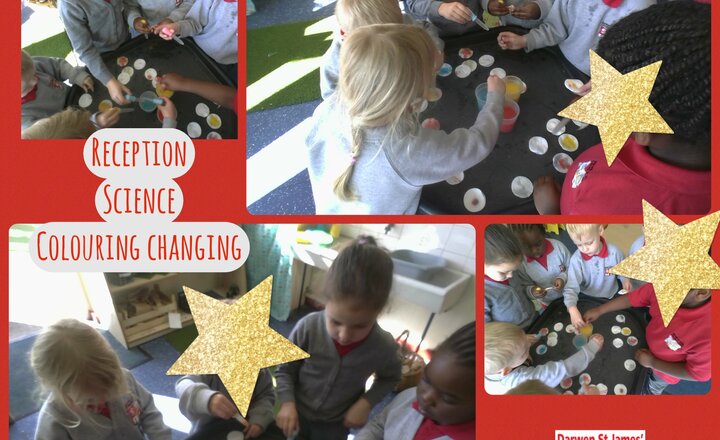 Image of Reception- Science-Colour Changing