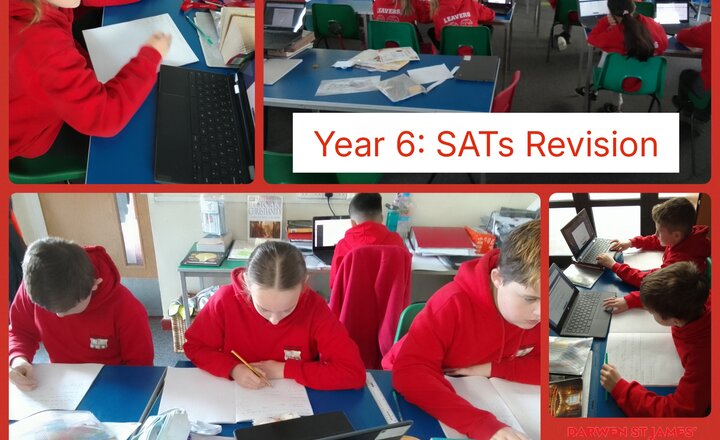 Image of Year 6: Revision
