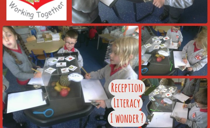 Image of Reception- Literacy - I Wonder?
