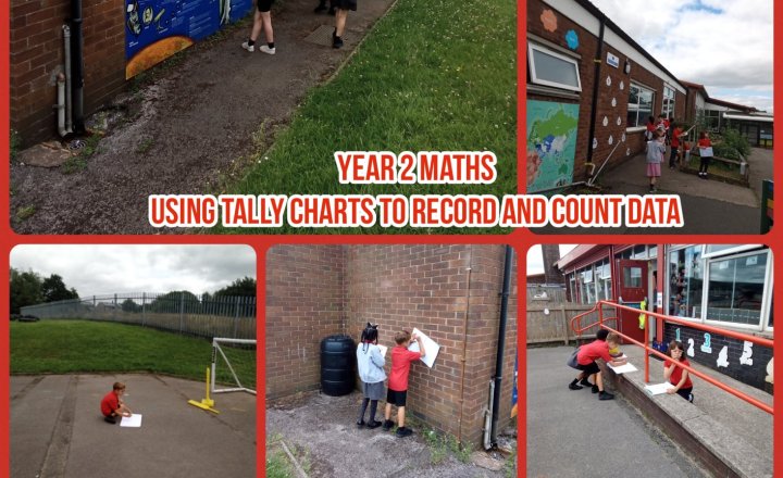 Image of Year 2 Maths: Shape Tally