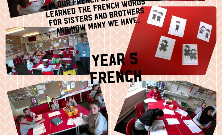 Image of Year 5 French 