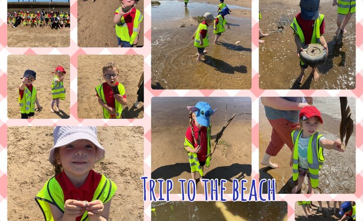 Image of Reception Class -Visit to the Beach