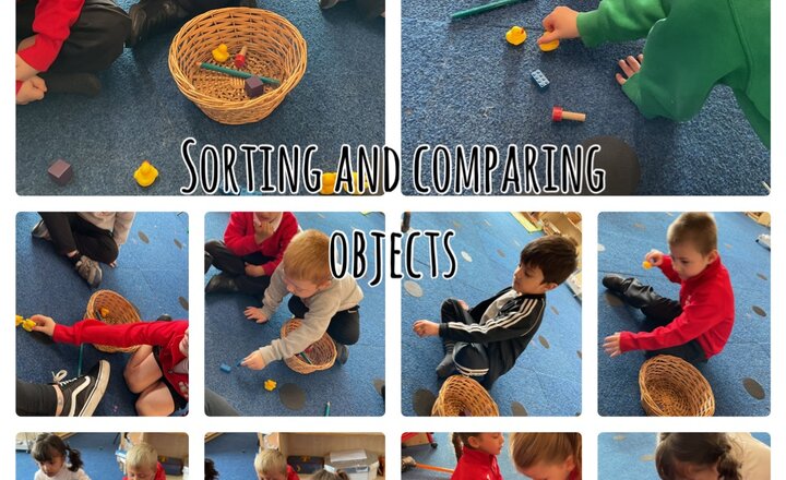 Image of Reception Class - Maths -  Sorting and Comparing 