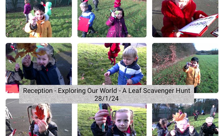 Image of Reception - Exploring Our World - A Leaf Scavenger Hunt