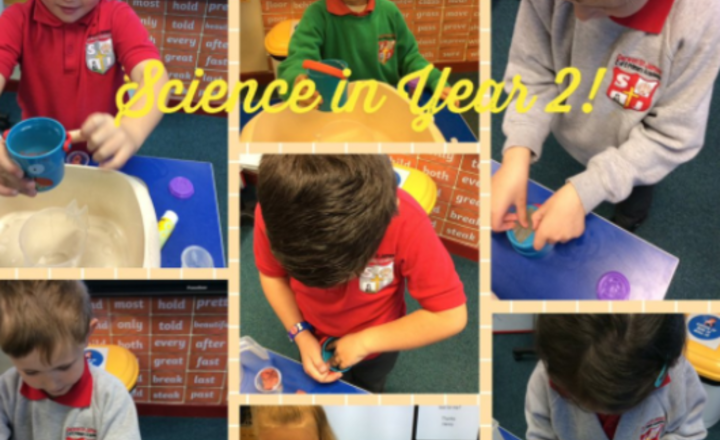 Image of Science in Y2