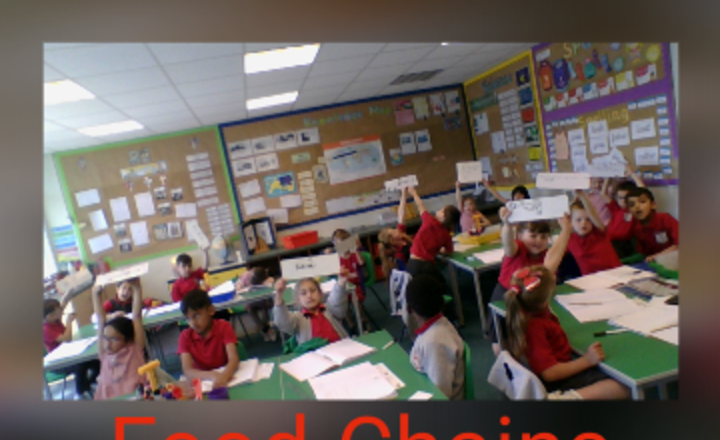 Image of Year 2 Science Food Chains