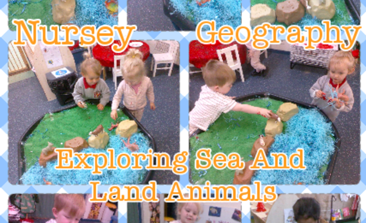 Image of Nursery - Geography - Exploring Sea And Land Animals