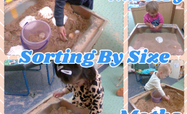 Image of Nursery - Maths - Sorting By Size 