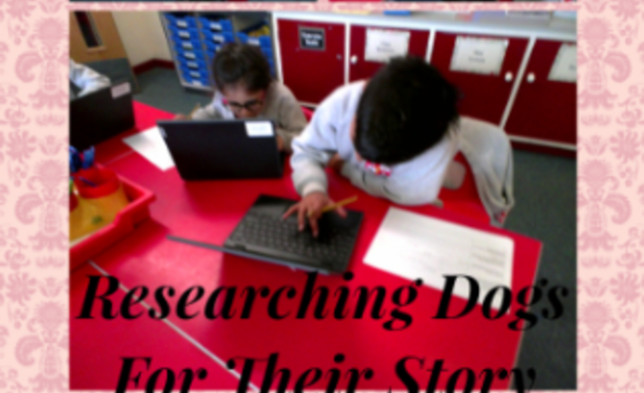 Image of Year 3 English - Researching Dogs For Their Own Stories